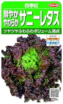サニーレタス様 Amazon.co.jp: アーテック お家で楽しく栽培キット サニーレタス